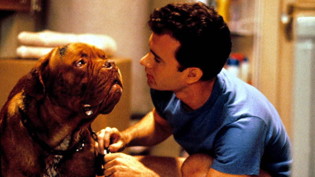 Turner & Hooch